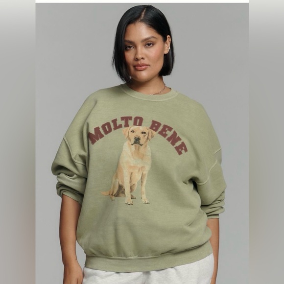 By Anthropologie Maeve Dog Graphic Sweatshirt Labrador Retriever Green Large NWT - Picture 10 of 10